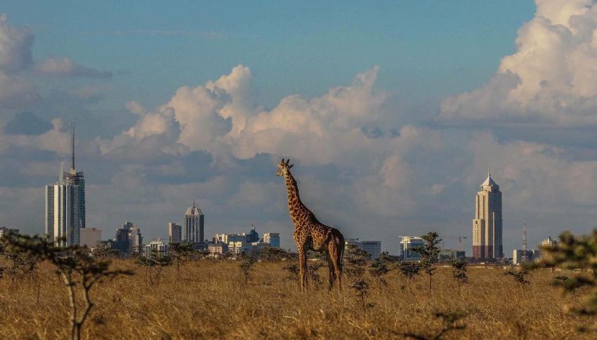 Nairobi Financial City